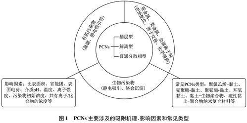 聚合物/黏土納米復合材料在污水處理中的應用及研究進展