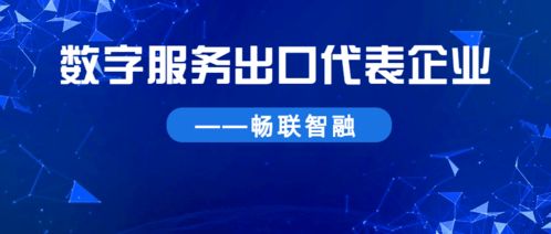 聚焦數字服務出口 服務為本，暢聯全球數字技術服務